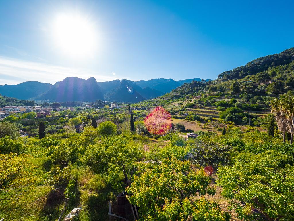 Vila Bunyola Exteriér fotografie